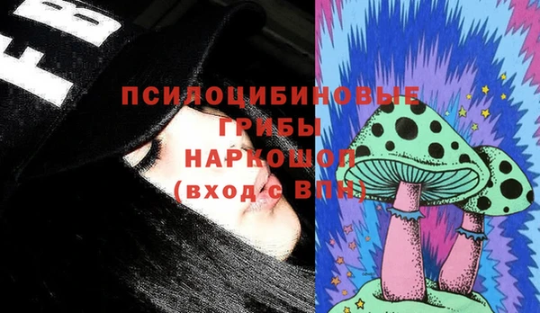 скорость Белокуриха
