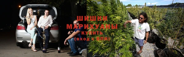 скорость Белокуриха